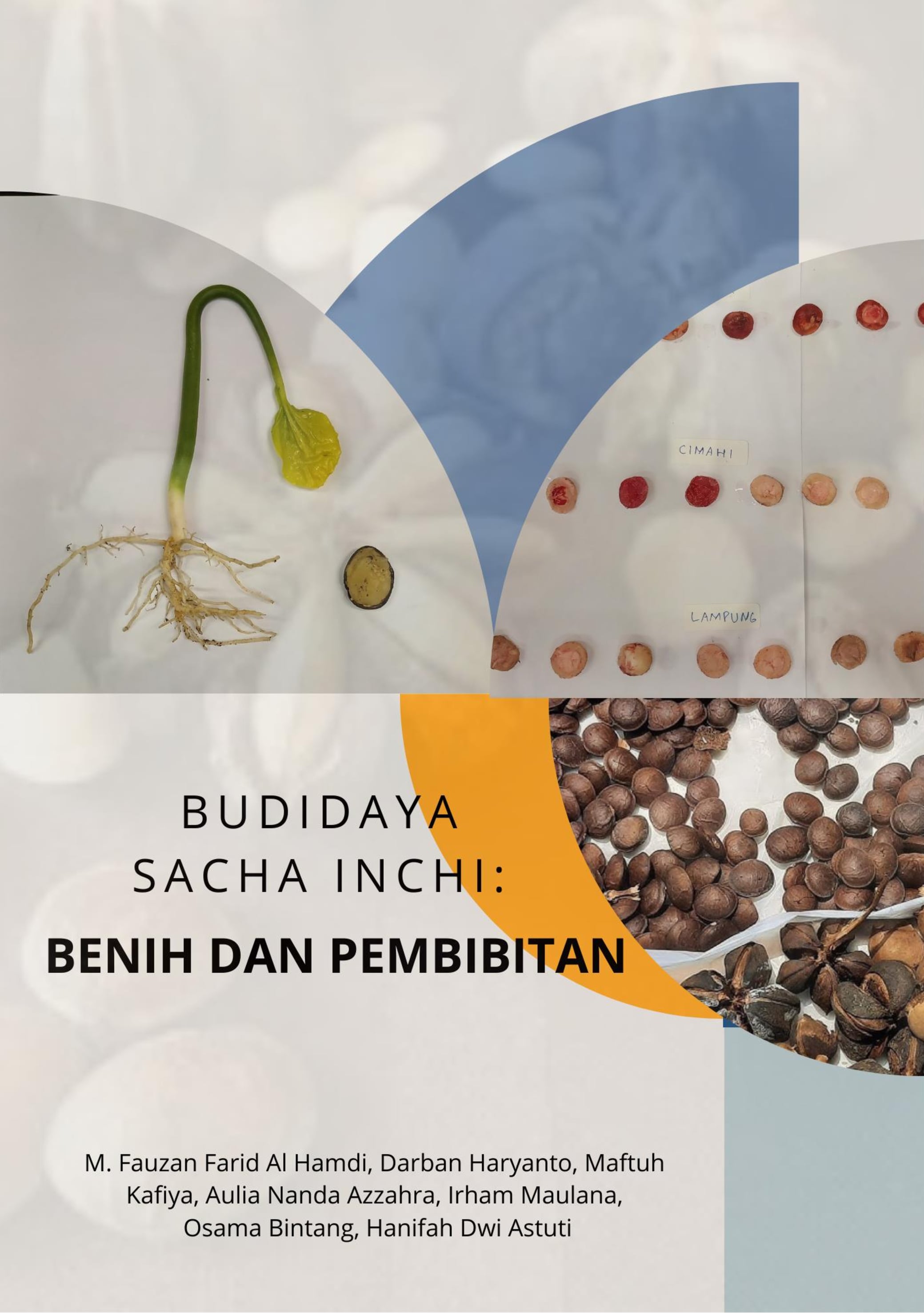 Cover Buku Budidaya Sacha Inchi: Benih dan Pembibitan